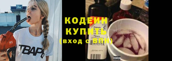 гидра Елабуга