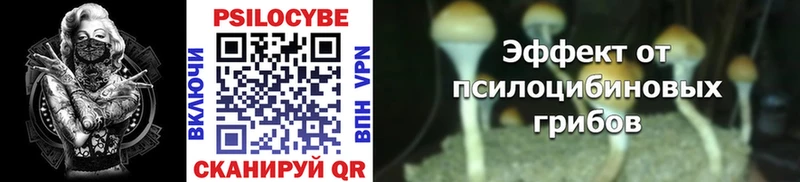 hydra рабочий сайт  Мамоново  Галлюциногенные грибы Psilocybine cubensis  купить закладку 